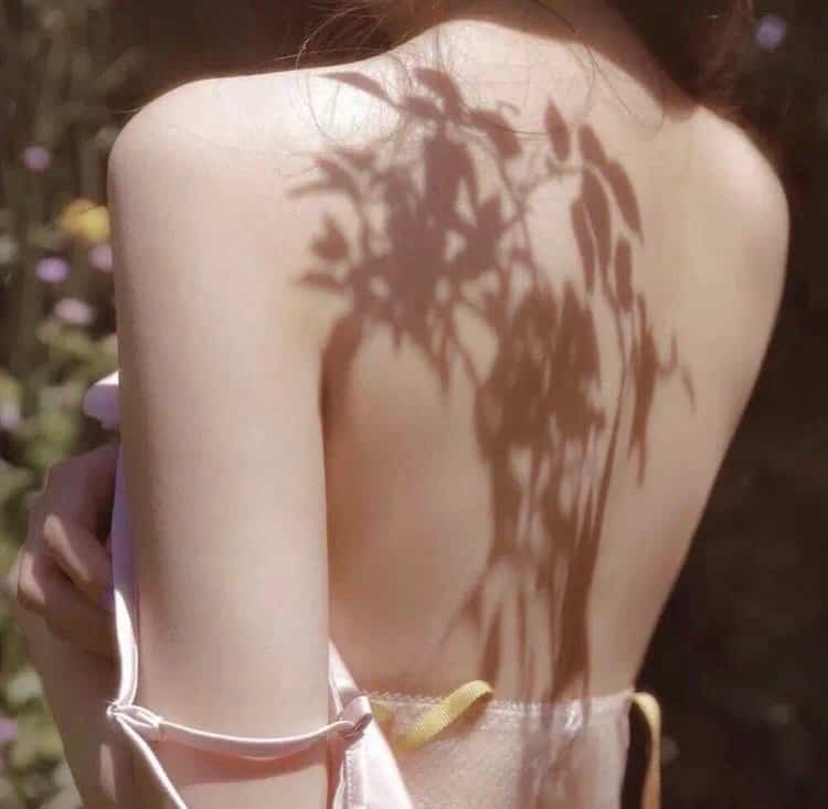 仙侠传说：修仙之路的逆天改命